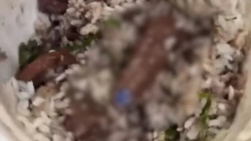 Vídeo: Homem é surpreendido por dedo com unha pintada em marmita de feijoada
