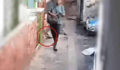 VEJA VÍDEO: homem é flagrado atirando pedra em gato na zona Leste de Manaus