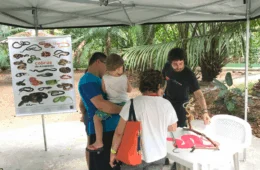 Dia Mundial da Serpente: Inpa tem evento gratuito sobre cobras na Amazônia