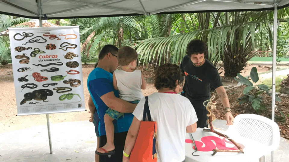 Dia Mundial da Serpente: Inpa tem evento gratuito sobre cobras na Amazônia