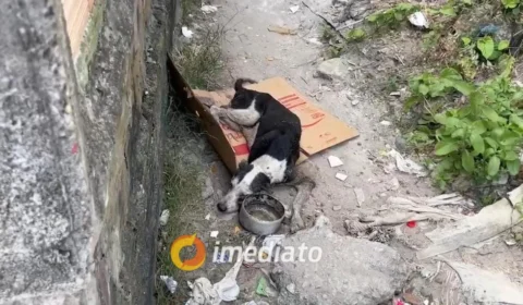 Cachorro cai em bueiro aberto e população reclama de infraestrutura no Cidade de Deus