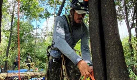 Instituto Mamirauá é finalista de uma das maiores competições de tecnologia para monitoramento da biodiversidade do mundo