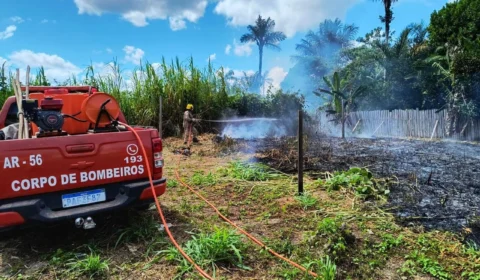 Operação Aceiro 2024: Corpo de Bombeiros combateu 560 focos de incêndios em um mês