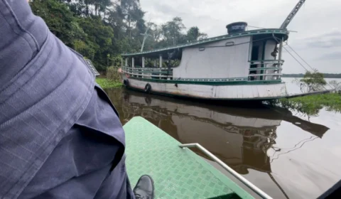 Toras de madeira ilegal é apreendida em Beruri Am