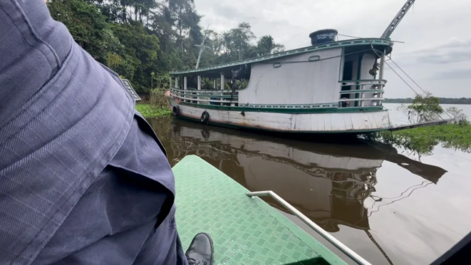 Toras de madeira ilegal é apreendida em Beruri Am