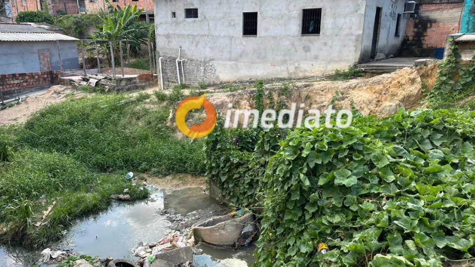 Casas correm risco de desabar por causa de bueiro e erosão no Tancredo Neves