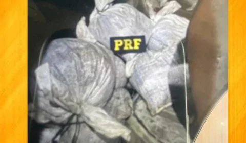 Polícia Federal de Roraima apreende mais de uma tonelada de cassiterita na BR-174