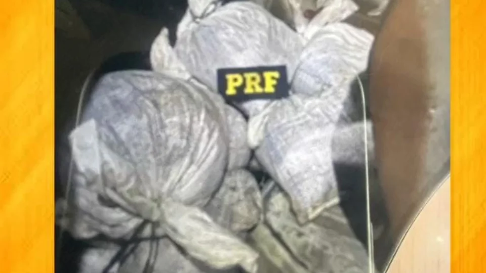 Polícia Federal de Roraima apreende mais de uma tonelada de cassiterita na BR-174