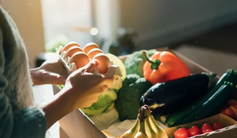 Nova lei regulamenta profissão de técnico em nutrição e dietética