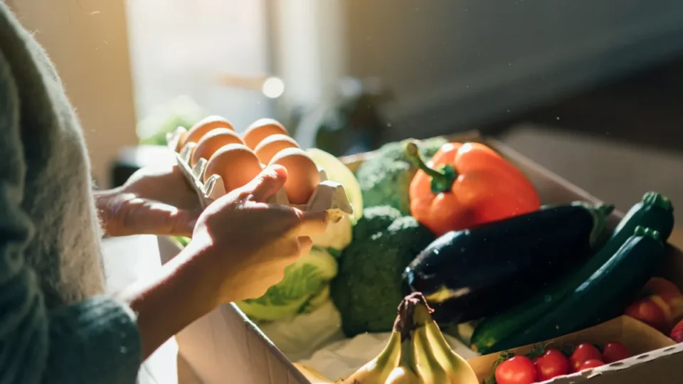 Nova lei regulamenta profissão de técnico em nutrição e dietética