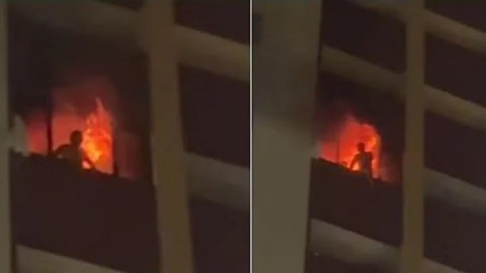 Veja Vídeo: casal e cachorro morrem durante incêndio em hotel