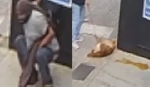 Homem defeca em frente a loja e cachorro se esfrega nas fezes; Veja vídeo