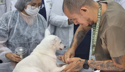 ‘Julho Dourado’ alerta para importância de check-ups veterinários dos pets
