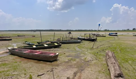 Preocupações com a seca na Amazônia em 2024: impactos e medidas preventivas