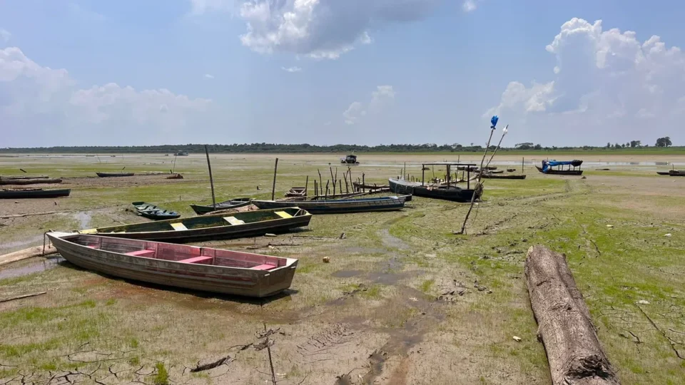 Preocupações com a seca na Amazônia em 2024: impactos e medidas preventivas