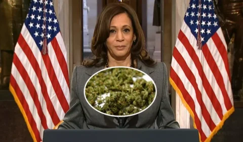 Kamala Harris defende a legalização da maconha e diz já ter usado