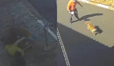 Veja Vídeo: mãe e filha ficam feridas após serem atacadas por pitbulls