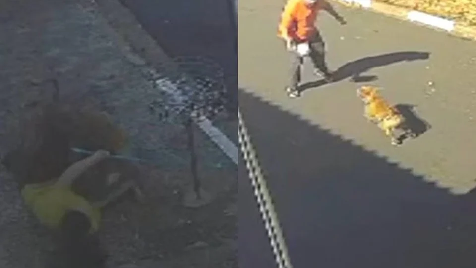 Veja Vídeo: mãe e filha ficam feridas após serem atacadas por pitbulls