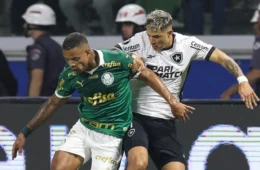 Botafogo segura empate com Palmeiras e avança na Copa Libertadores