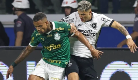 Botafogo segura empate com Palmeiras e avança na Copa Libertadores