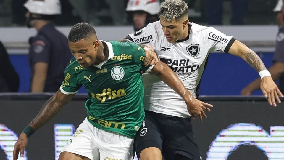 Botafogo segura empate com Palmeiras e avança na Copa Libertadores