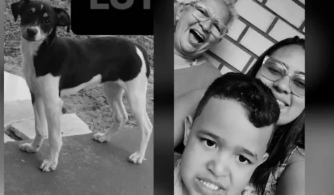 Cadelinha de família morta em acidente aéreo também estava no voo