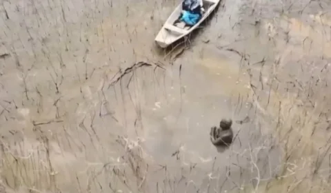 Vídeo: idoso de 85 anos é resgatado após ficar três dias à deriva em trecho de lama no Rio Negro