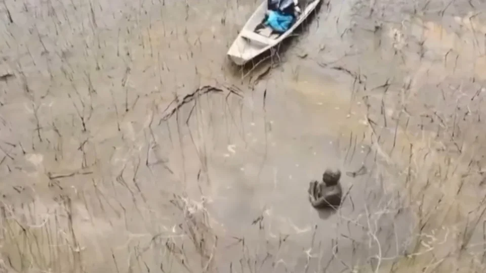 Vídeo: idoso de 85 anos é resgatado após ficar três dias à deriva em trecho de lama no Rio Negro