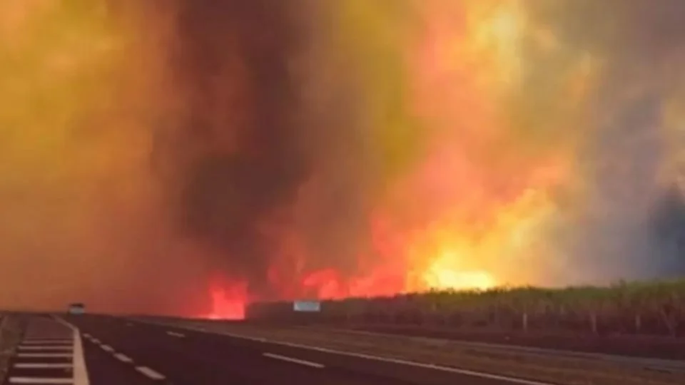 Governo de São Paulo decreta emergência em 45 cidades por causa de incêndios urbanos