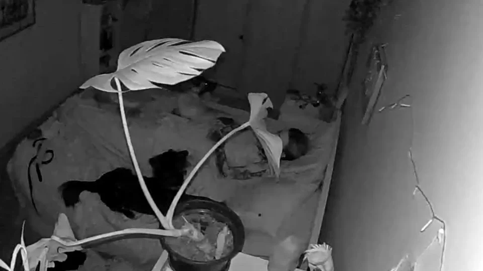 Vídeo: Portugal tem terremoto de magnitude 5,3 e assusta população