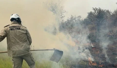 Fumaça em Manaus reflete pior temporada de queimadas na região Norte em 17 anos