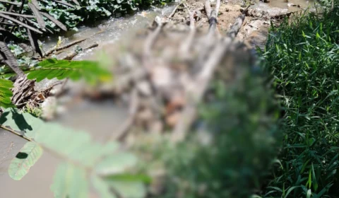 Corpo em estado avançado de decomposição é encontrado no Ramal do Suzuki, no Distrito