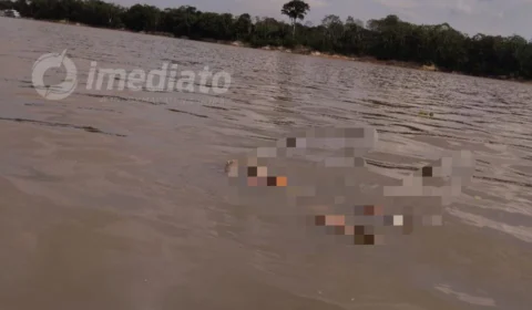 VEJA VÍDEO: corpo de homem é encontrado boiando em rio no Amazonas