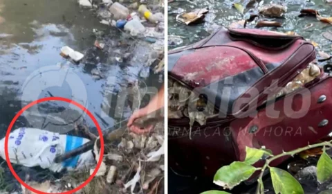 VÍDEO: equipe do Imediato encontra resto de corpo dentro de sacola no bairro Nova Esperança