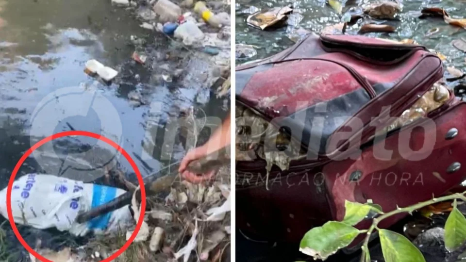 VÍDEO: equipe do Imediato encontra resto de corpo dentro de sacola no bairro Nova Esperança