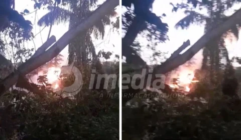 Veja Vídeo: incêndio atinge área de mata na Avenida das Flores