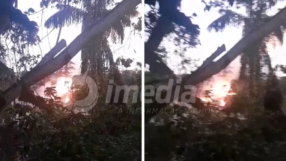 Veja Vídeo: incêndio atinge área de mata na Avenida das Flores