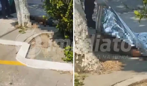 VÍDEOS: homem em situação de rua sobe em árvore e morre eletrocutado na Av. Constantino Nery