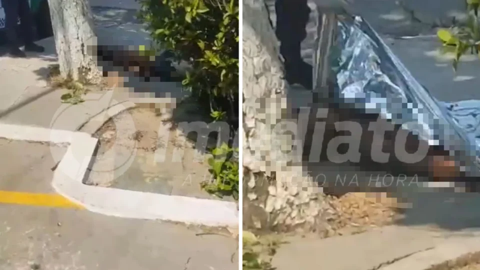 VÍDEOS: homem em situação de rua sobe em árvore e morre eletrocutado na Av. Constantino Nery