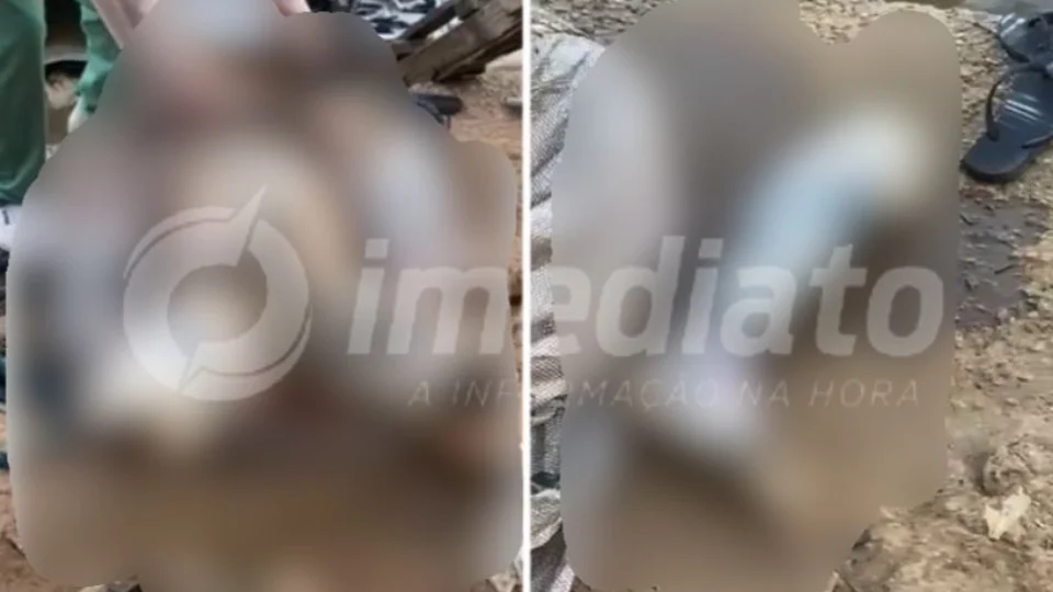 VEJA VÍDEOS: corpo de homem esquartejado é encontrado boiando na Manaus Moderna