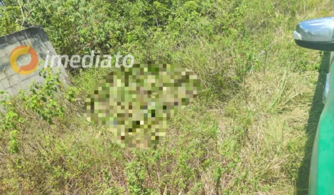 Mulher é torturada e espancada até a morte em área de mata no bairro Tarumã