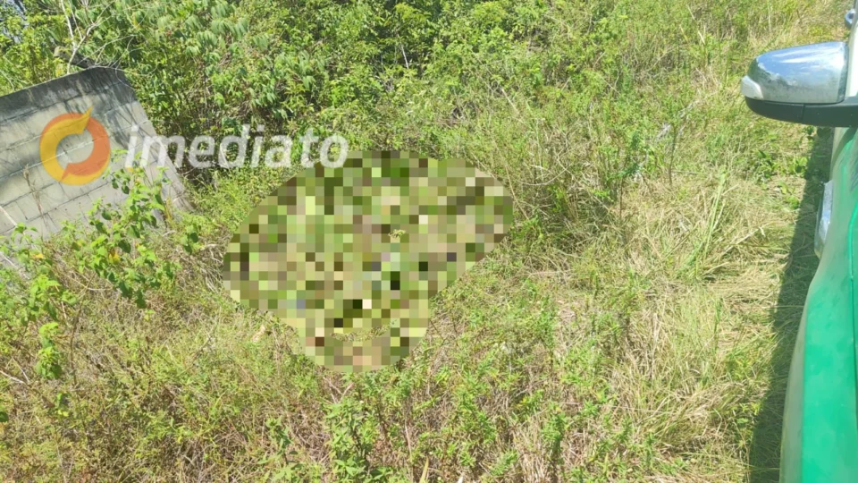 Mulher é torturada e espancada até a morte em área de mata no bairro Tarumã