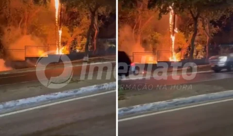 VÍDEO: incêndio de grandes proporções atinge área de mata na avenida Maceió