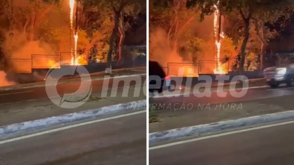 VÍDEO: incêndio de grandes proporções atinge área de mata na avenida Maceió