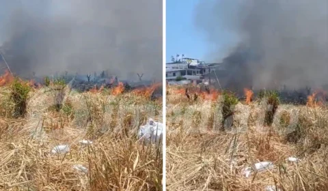 VEJA VÍDEO: incêndio atinge área de mata na avenida Brasil em Manaus