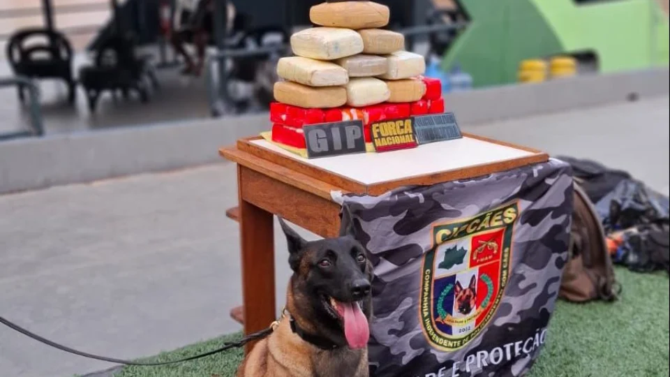 Colombiano é preso após PM encontrar 31kg de drogas em barcos no Amazonas