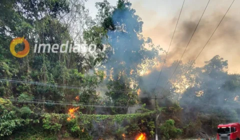 VÍDEOS: incêndio atinge área de vegetação na Avenida Mario Ypiranga em Manaus