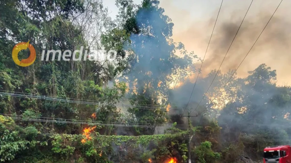 VÍDEOS: incêndio atinge área de vegetação na Avenida Mario Ypiranga em Manaus