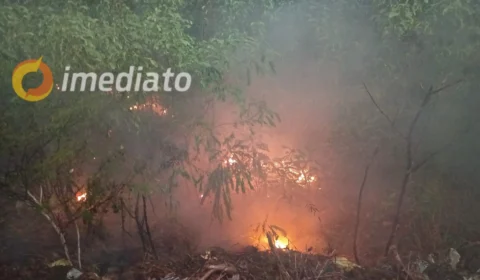 VÍDEO: incêndio de grandes proporções atinge área de vegetação no bairro Santa Luzia