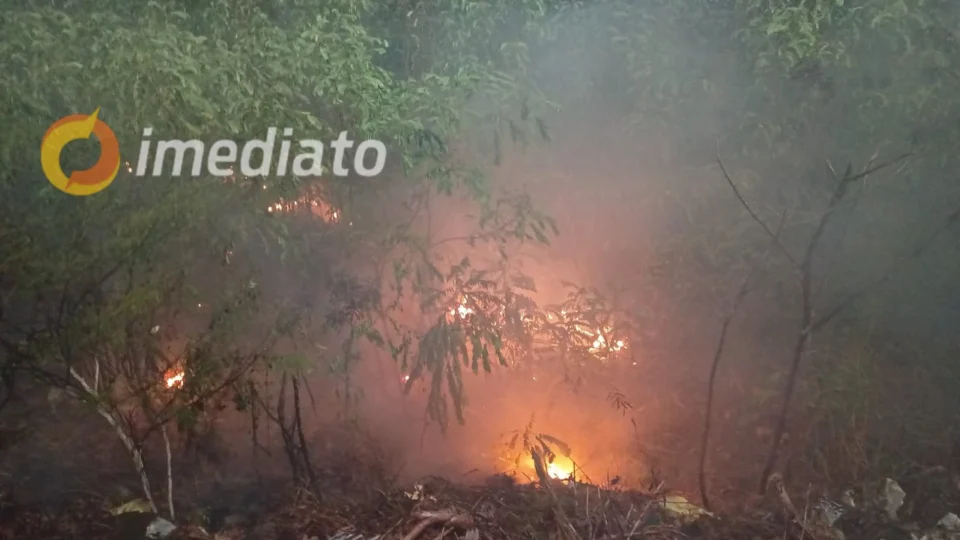 VÍDEO: incêndio de grandes proporções atinge área de vegetação no bairro Santa Luzia
